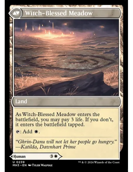 Witch Enchanter // Witch-Blessed Meadow