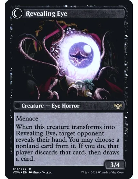 Concealing Curtains // Revealing Eye - Foil