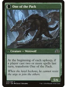 Solitary Hunter // One of the Pack 2