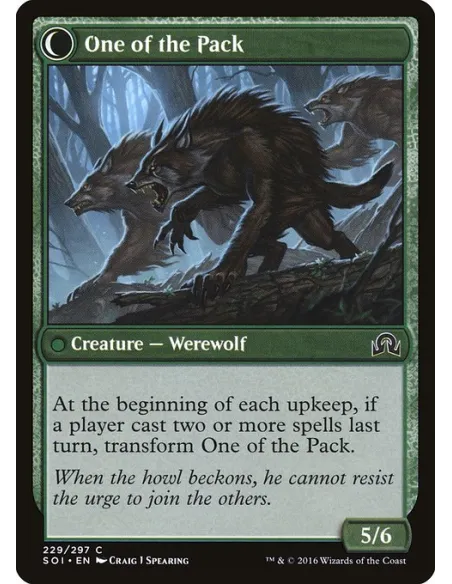 Solitary Hunter // One of the Pack