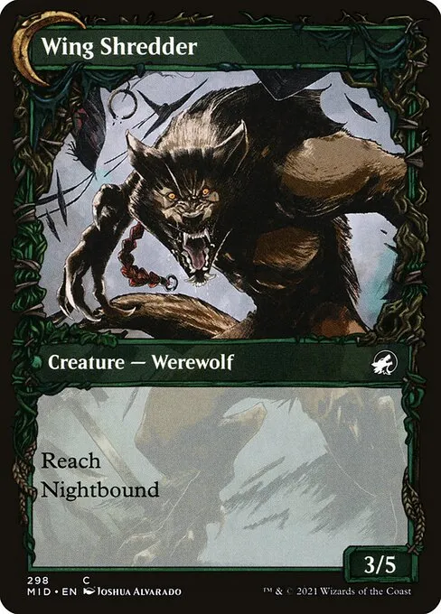 Bird Admirer // Wing Shredder - Foil