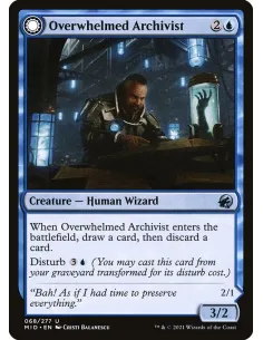Overwhelmed Archivist // Archive Haunt