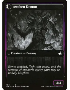 Ecstatic Awakener // Awoken Demon 2