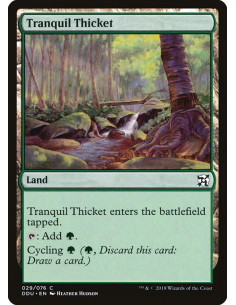 Tranquil Thicket