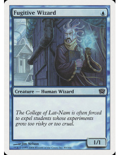 Fugitive Wizard