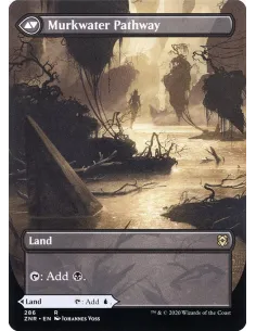 Clearwater Pathway // Murkwater Pathway 2