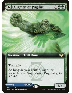 Augmenter Pugilist // Echoing Equation