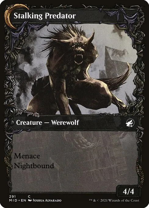 Shady Traveler // Stalking Predator - Foil