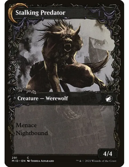 Shady Traveler // Stalking Predator - Foil