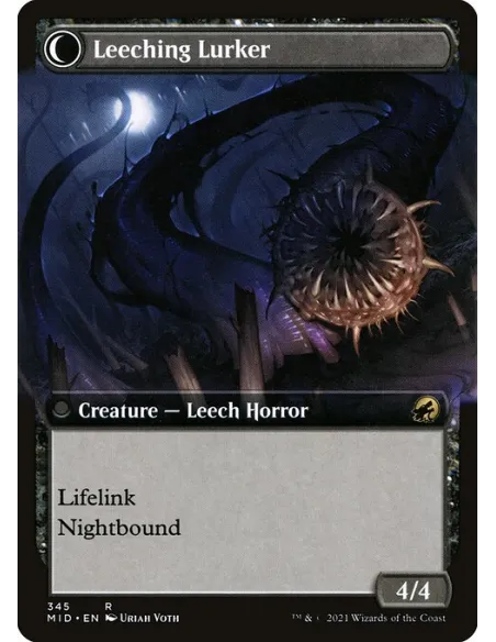 Curse of Leeches // Leeching Lurker - Foil