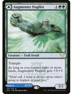 Augmenter Pugilist // Echoing Equation - Foil