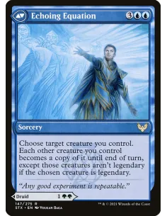Augmenter Pugilist // Echoing Equation - Foil 2