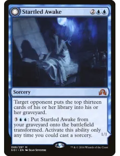 Startled Awake // Persistent Nightmare