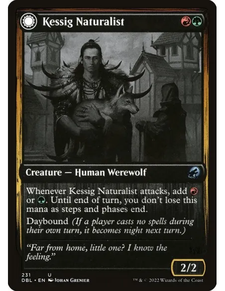 Kessig Naturalist // Lord of the Ulvenwald