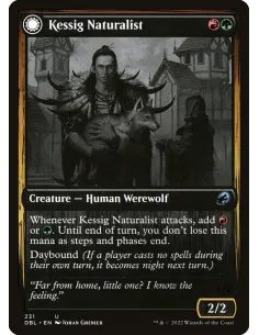 Kessig Naturalist // Lord of the Ulvenwald - Foil