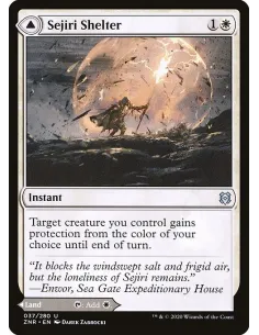 Sejiri Shelter // Sejiri Glacier - Foil