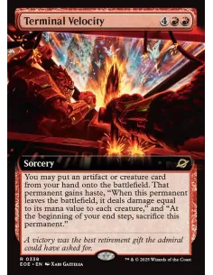 Terminal Velocity - Foil