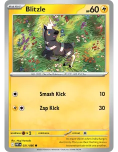 Blitzle