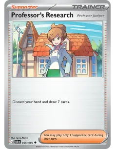 Professor's Research