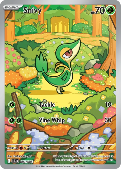 Snivy
