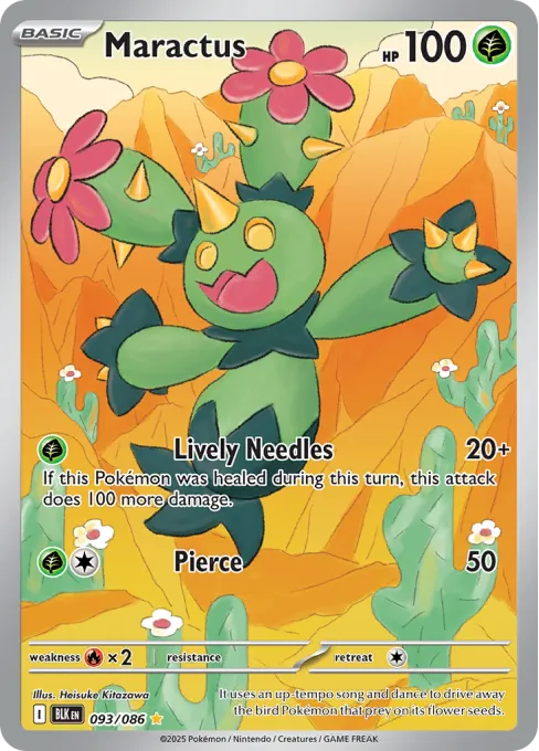Maractus