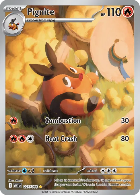 Pignite