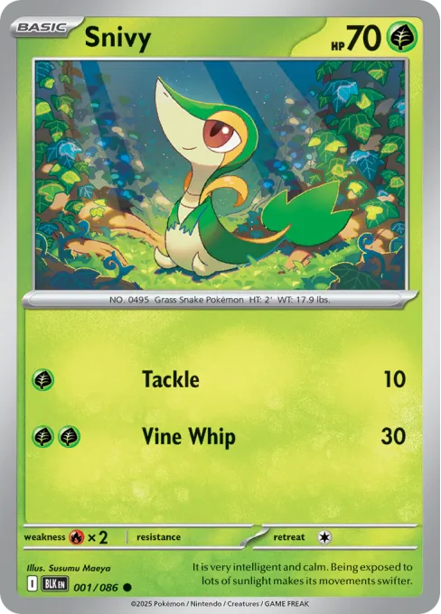 Snivy - Reverse Holo