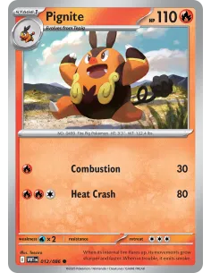 Pignite - Reverse Holo