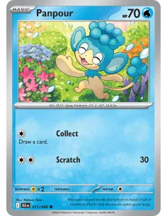 Panpour - Reverse Holo