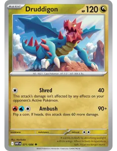 Druddigon - Reverse Holo