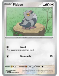 Pidove - Reverse Holo