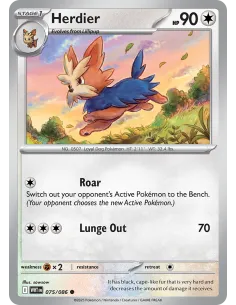 Herdier - Reverse Holo