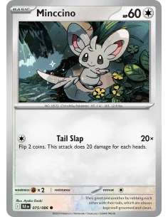 Minccino - Reverse Holo