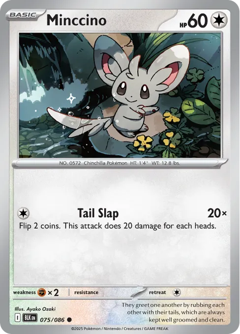 Minccino - Reverse Holo