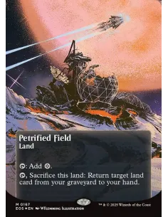Petrified Field - Foil
