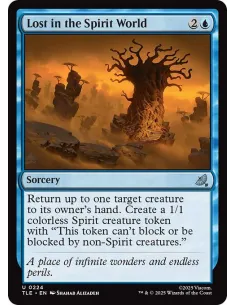 Lost in the Spirit World