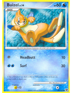 Buizel