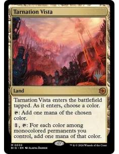 Tarnation Vista