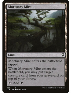 Mortuary Mire