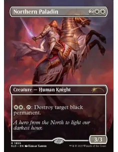 Northern Paladin
