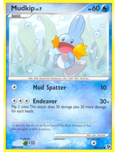 Mudkip