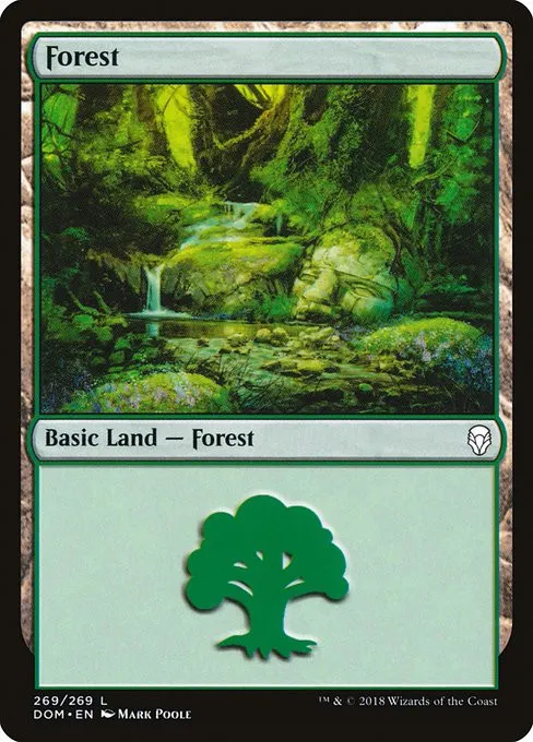 Forest - Foil