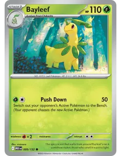 Bayleef - Reverse Holo