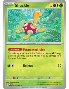 Shuckle - Reverse Holo
