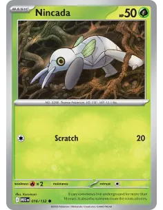 Nincada - Reverse Holo