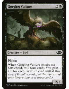 Gorging Vulture