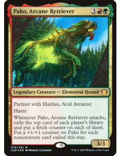 Pako, Arcane Retriever - Foil
