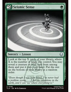 Seismic Sense - Foil