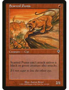Scarred Puma