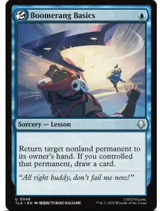 Boomerang Basics - Foil